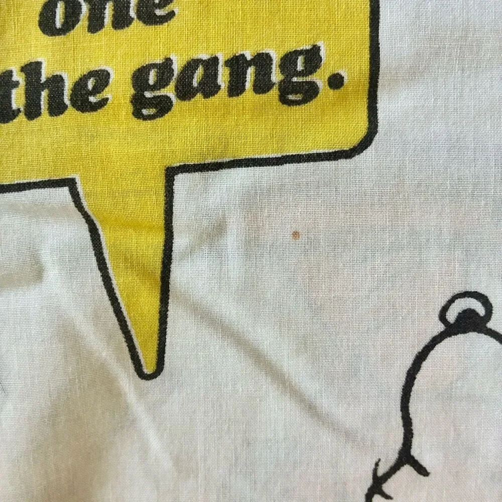 VTG Snoopy Charlie Brown Peanuts Gang 